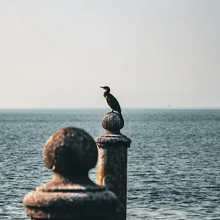 아파트 Casa Salvia